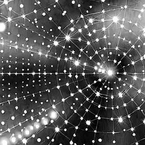 The Digital Euro Is Not a Bridge — It's a Fortress: What ECB's Beta Test Really Means for Web3