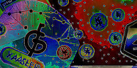 The Loud Signal from Crypto Briefing Just Got Disciplined The Loud Signal from Crypto Briefing Just Got Disciplined