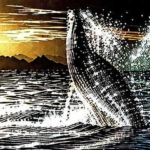 The KOSPI Whale That Surfed the Crypto Ripple: Why Seoul's 11.5% Bounce Is a Warning, Not a Signal